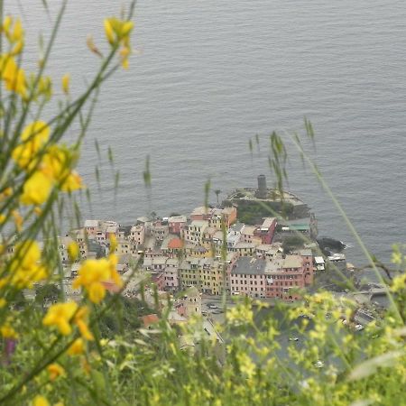 Ca Gialla De Drignana فيرناتْسا المظهر الخارجي الصورة
