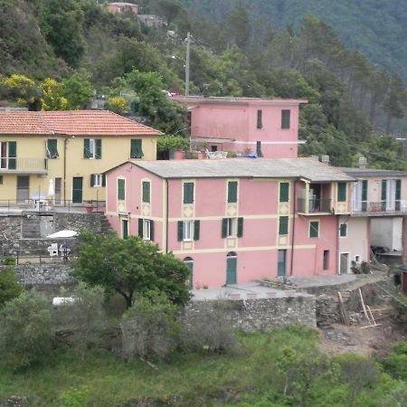 Ca Gialla De Drignana فيرناتْسا المظهر الخارجي الصورة