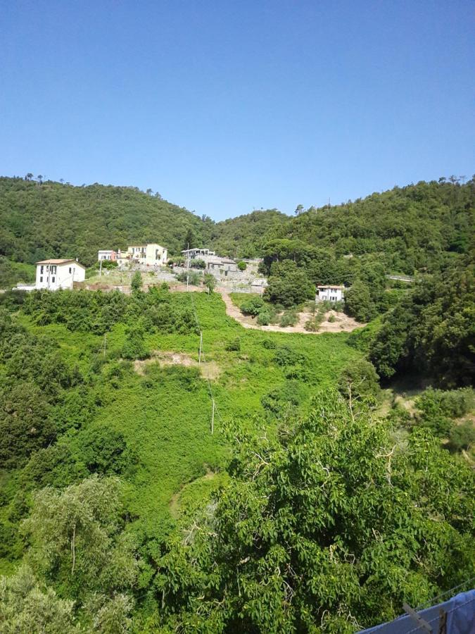 Ca Gialla De Drignana فيرناتْسا المظهر الخارجي الصورة