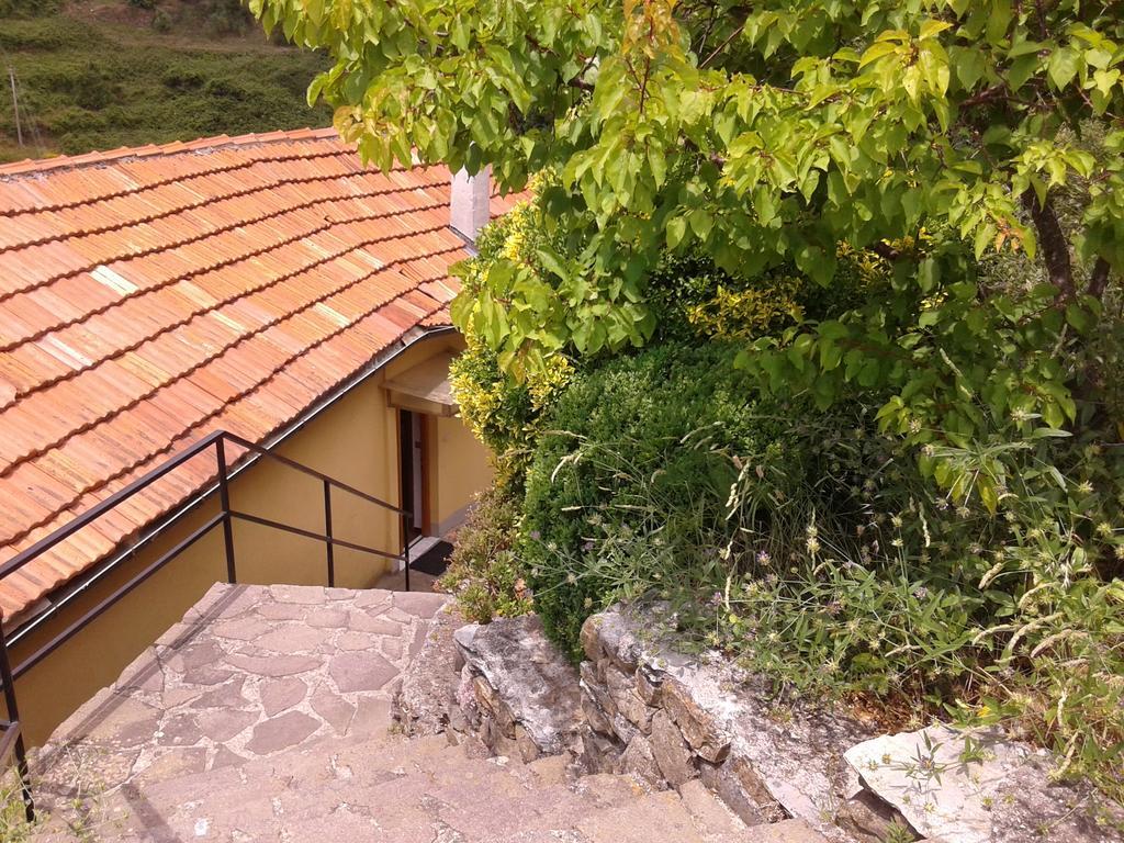 Ca Gialla De Drignana فيرناتْسا المظهر الخارجي الصورة