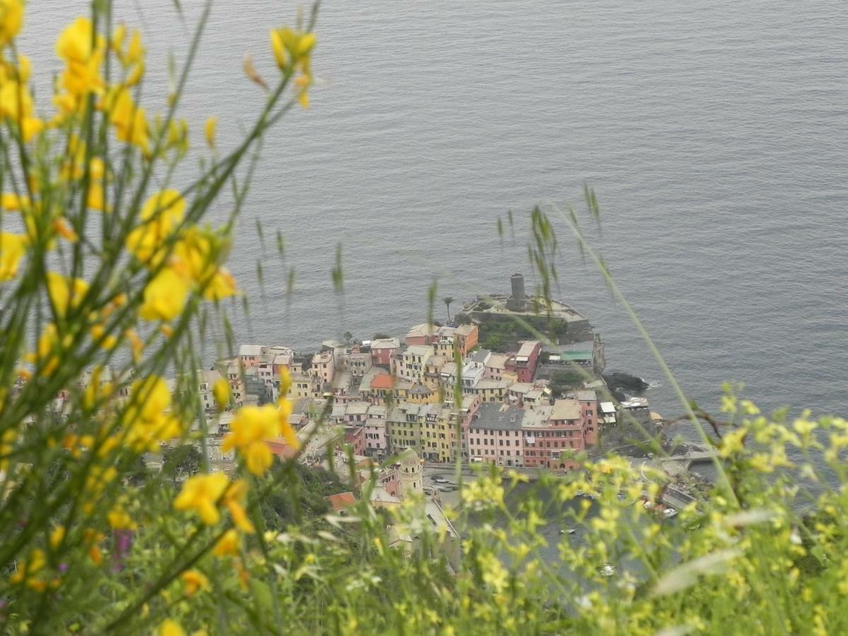 Ca Gialla De Drignana فيرناتْسا المظهر الخارجي الصورة