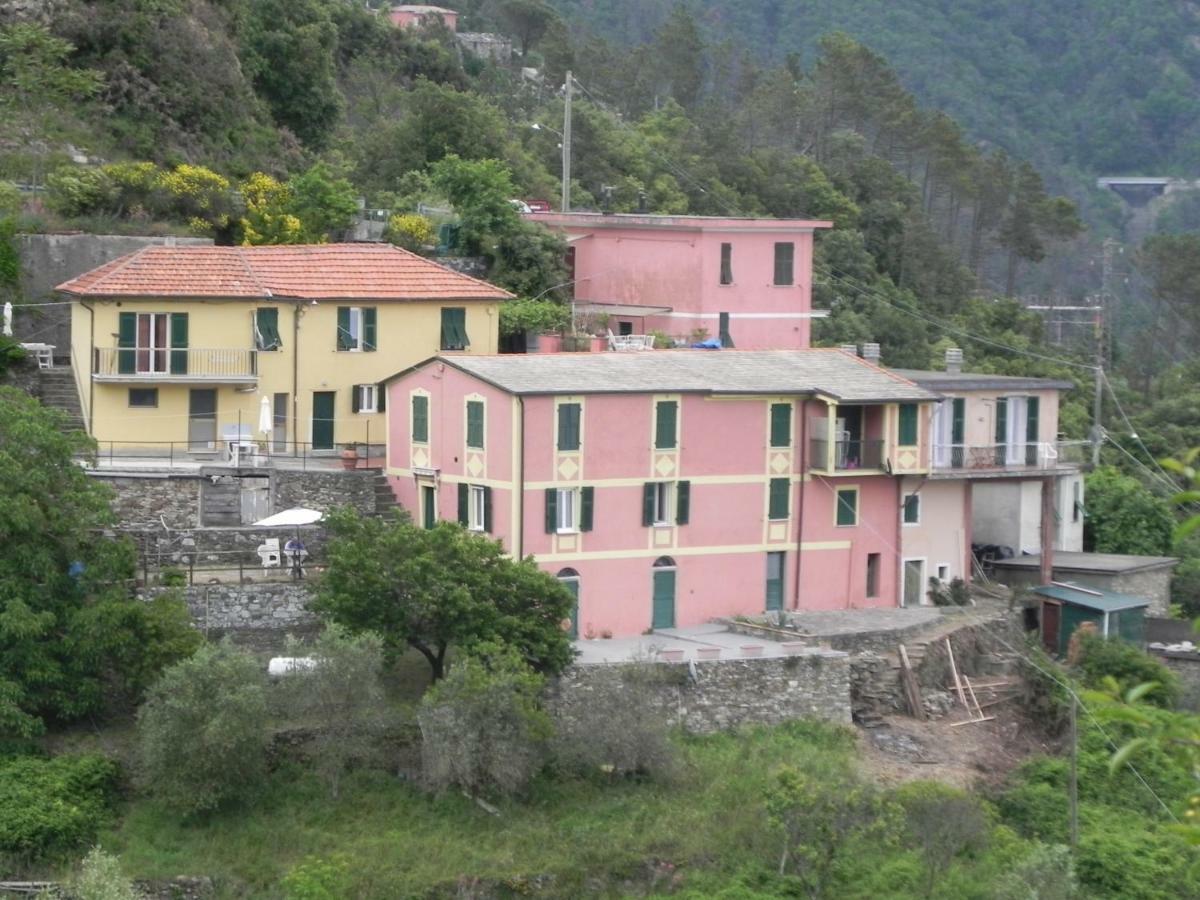 Ca Gialla De Drignana فيرناتْسا المظهر الخارجي الصورة