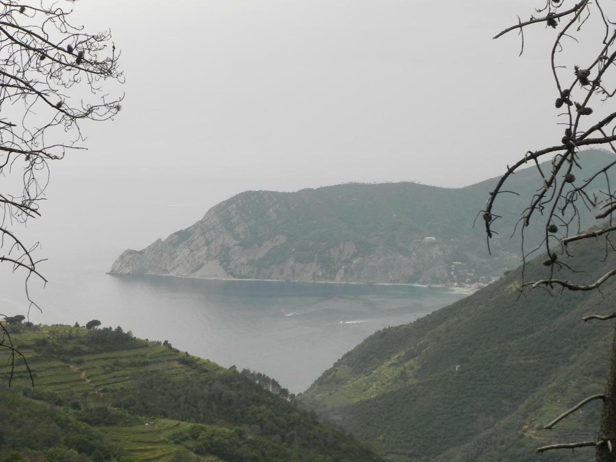 Ca Gialla De Drignana فيرناتْسا المظهر الخارجي الصورة